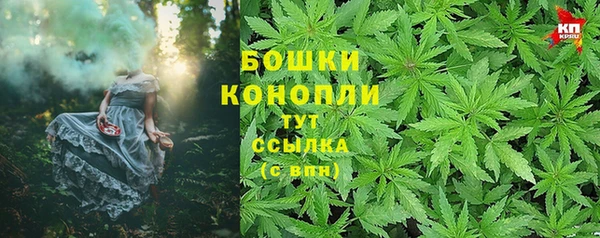сатива Баксан