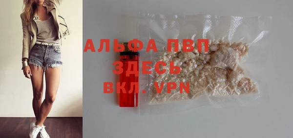 сатива Баксан