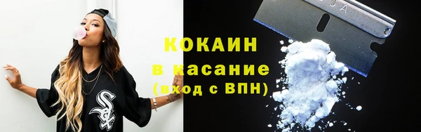 сатива Баксан