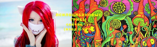 сатива Балахна