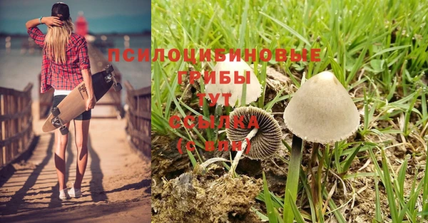 сатива Балахна