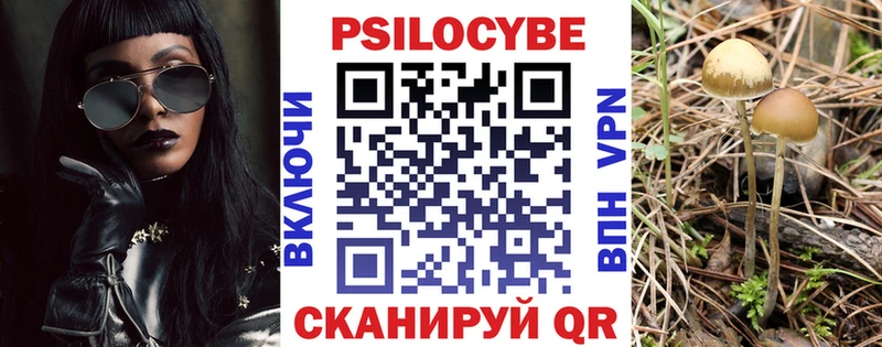 Псилоцибиновые грибы прущие грибы что такое наркотик Николаевск